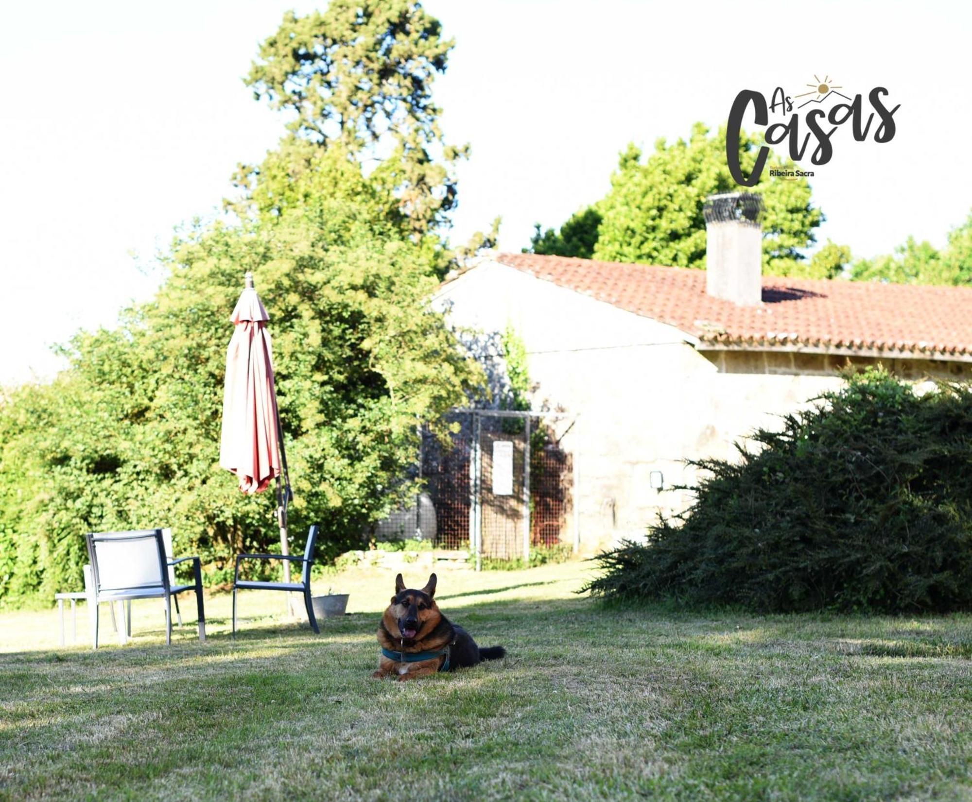 As Casas Ribeira Sacra Hotel Chantada Bagian luar foto